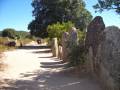 100_2824 poudniowa Korsyka - menhiry