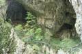 IMG_0714 Skocjanska jama, wyjście na powierzchnie, Słowenia